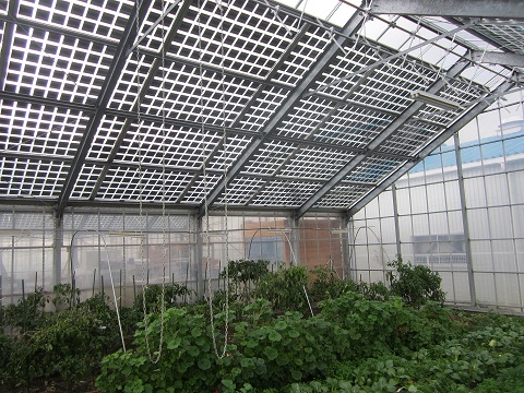 太陽光発電の原理